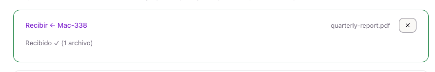 Recibido: la ruta fue «Directo por LAN», los bytes no pasaron por ningún servidor.